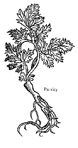 [parsley]