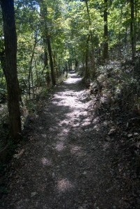 path1